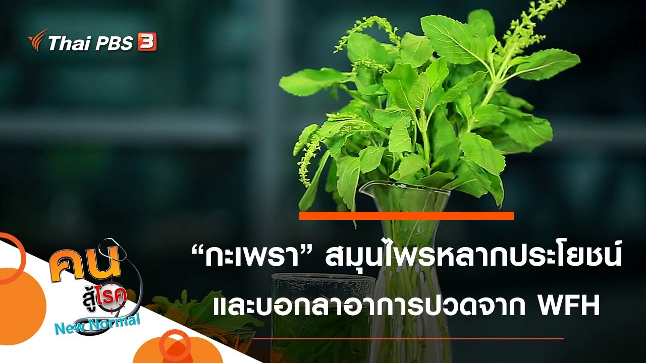 เมนูจากกะเพรา สมุนไพรหลากประโยชน์, บอกลาอาการปวดจากการนั่งทำงานที่บ้าน