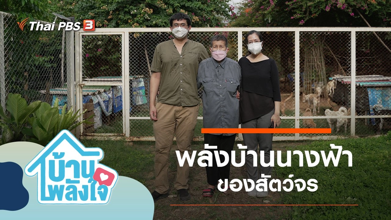 พลังบ้านนางฟ้าของสัตว์จร