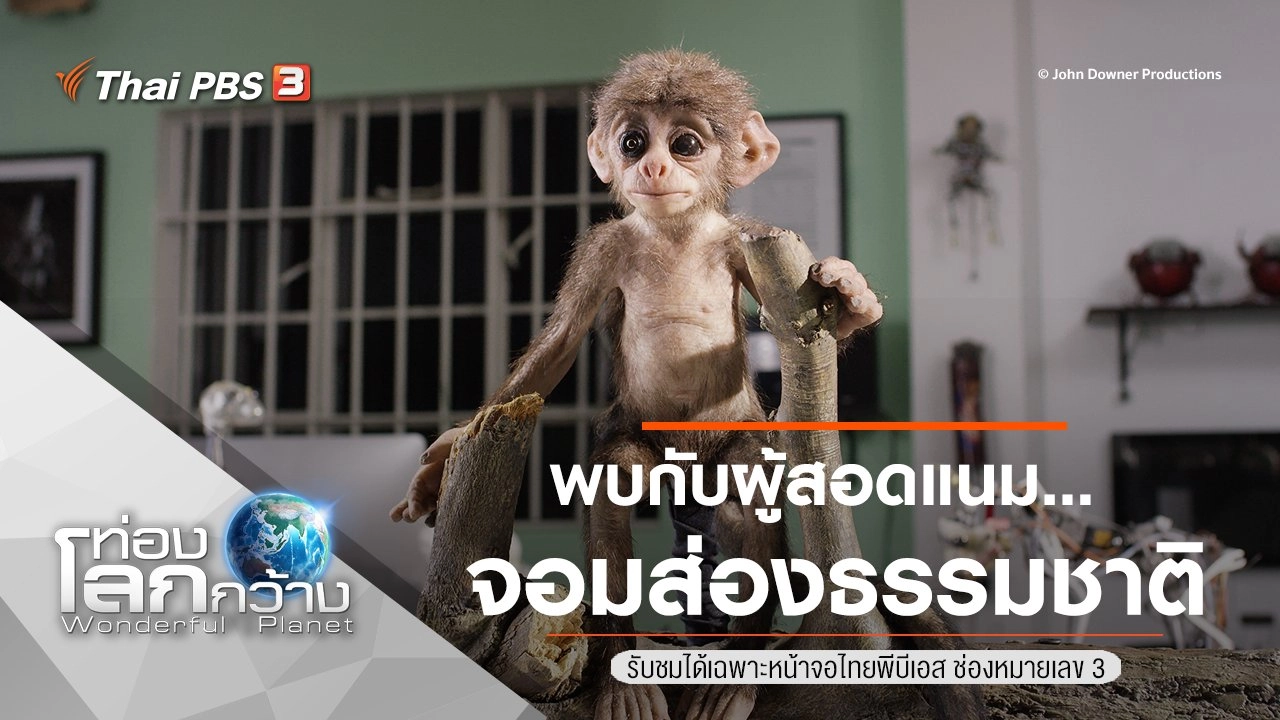 พบกับผู้สอดแนม...จอมส่องธรรมชาติ
