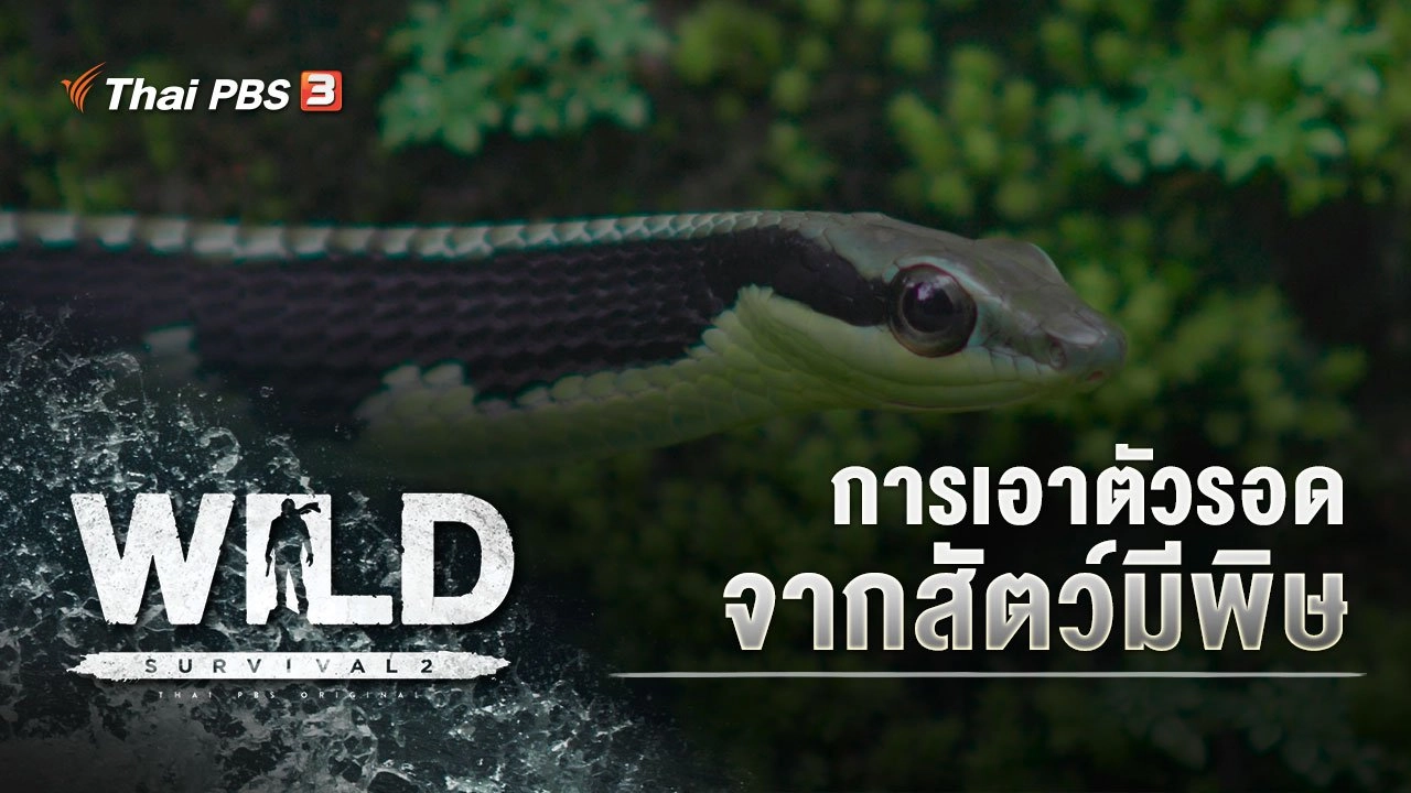 การเอาตัวรอดจากสัตว์มีพิษ