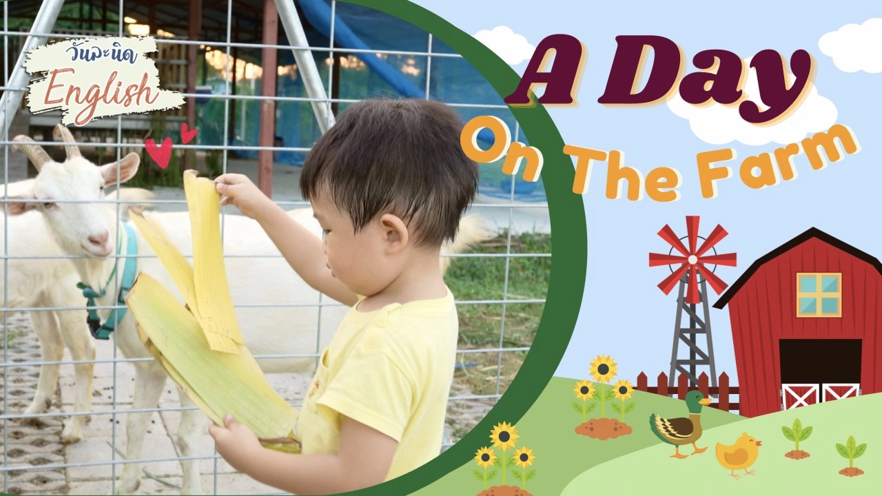 A Day On The Farm