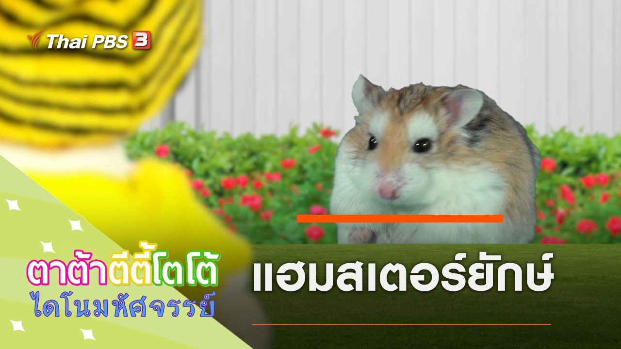 แฮมสเตอร์ยักษ์