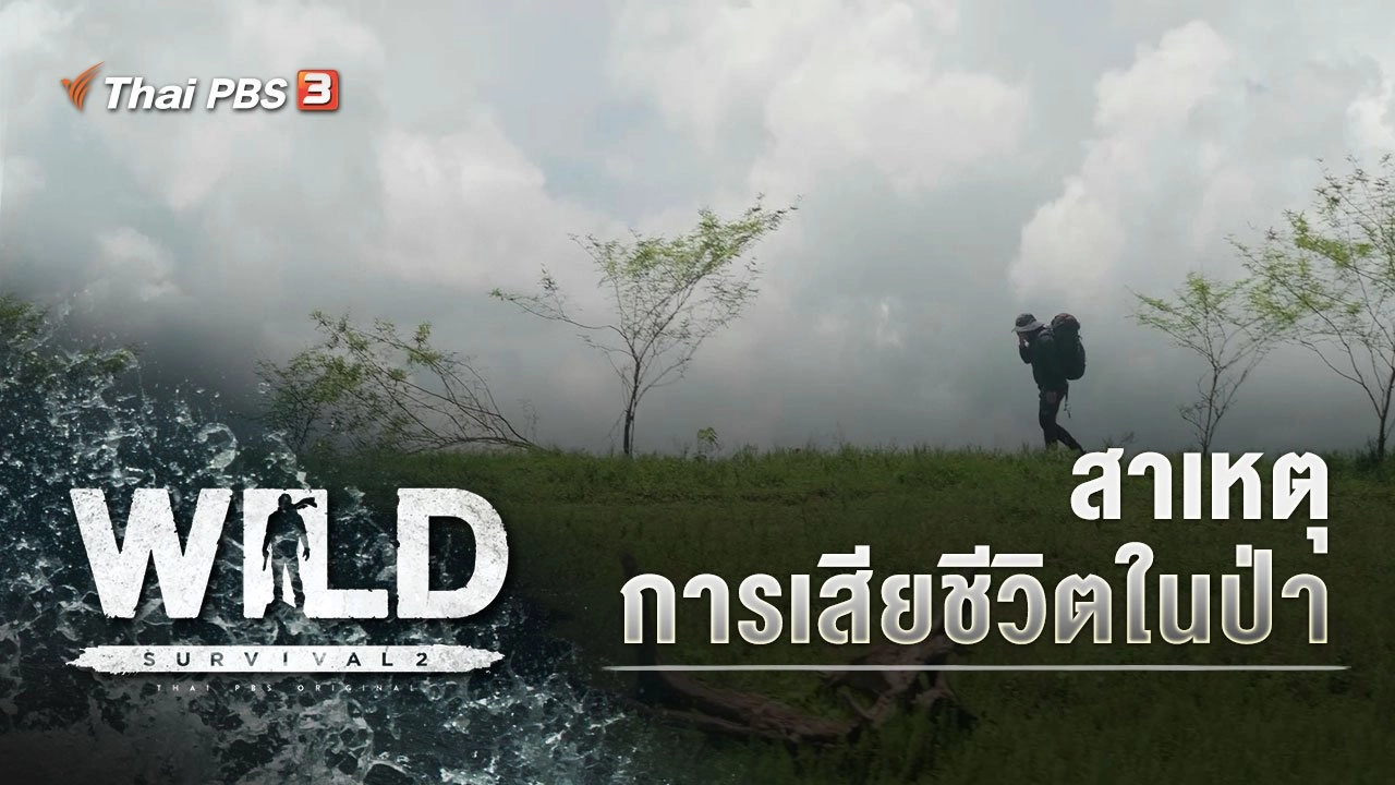 สาเหตุการเสียชีวิตในป่า