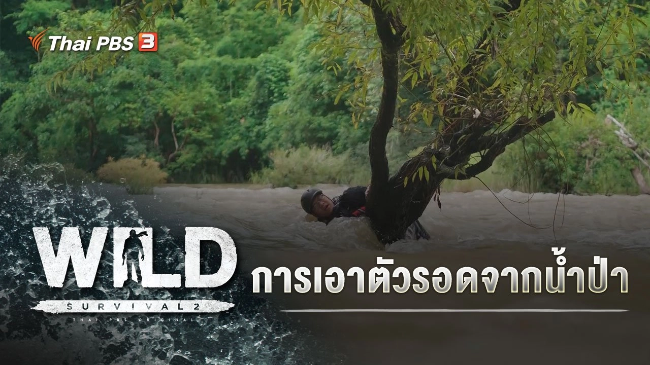 การเอาตัวรอดจากน้ำป่า