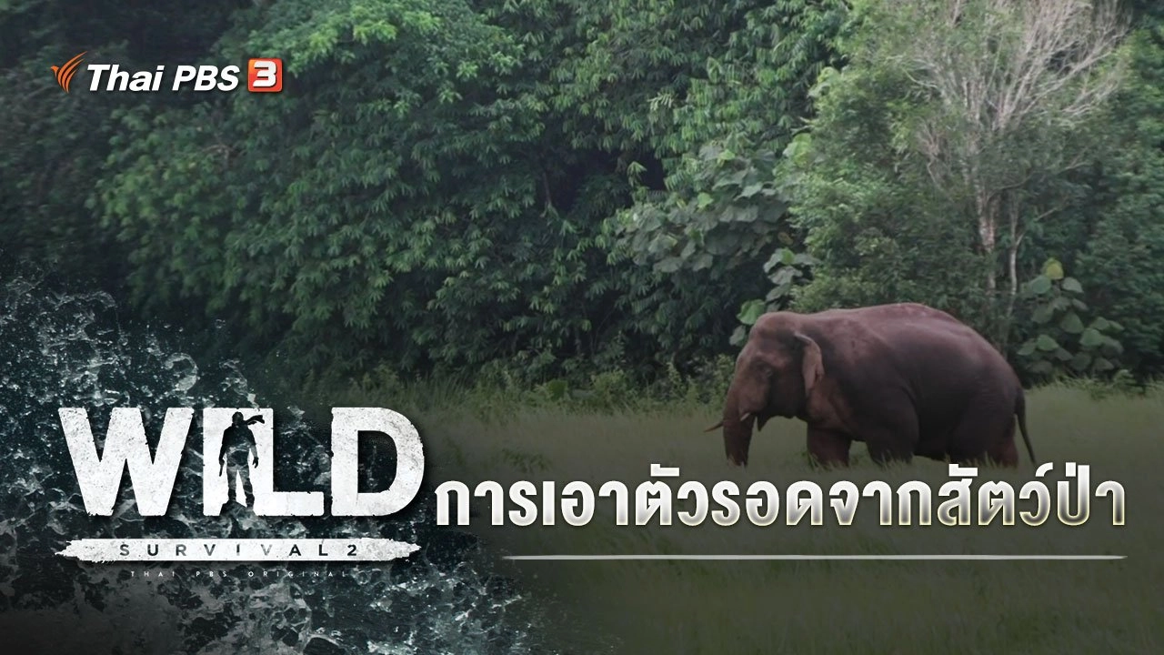 การเอาตัวรอดจากสัตว์ป่า