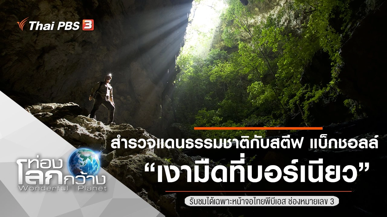 สำรวจแดนธรรมชาติกับสตีฟ แบ็กชอลล์ ตอน เงามืดที่บอร์เนียว