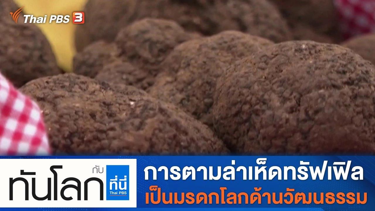 ประเด็นข่าว (8 ก.พ. 65)