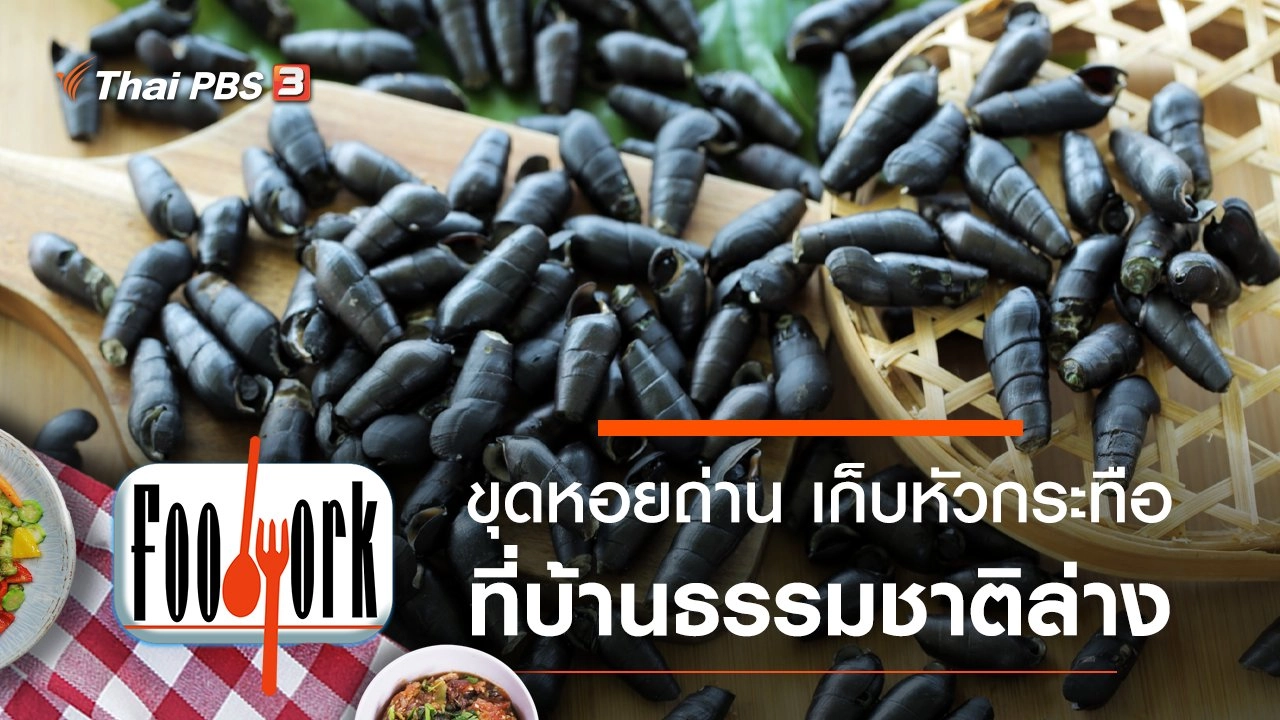 ขุดหอยถ่าน เก็บหัวกระทือ ที่บ้านธรรมชาติล่าง