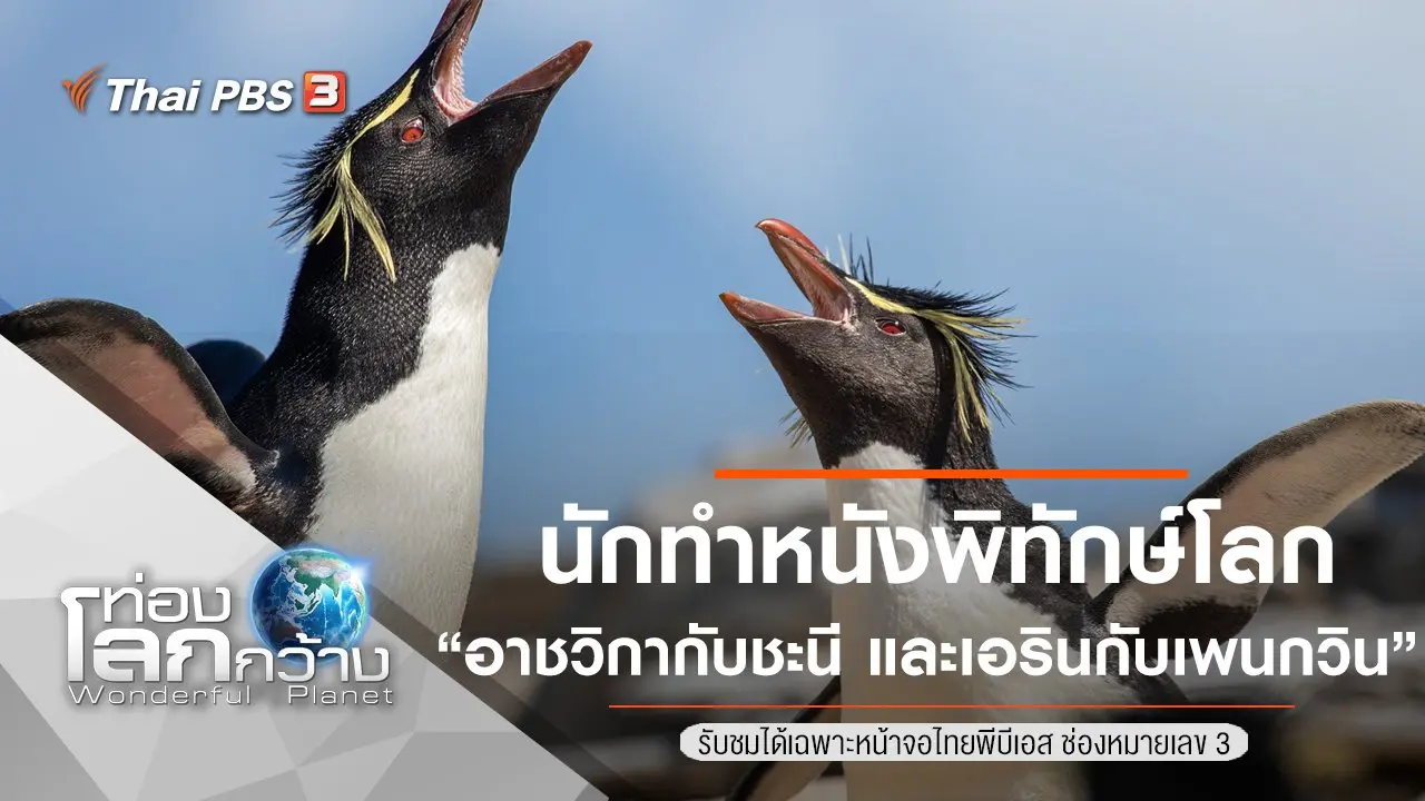 นักทำหนังพิทักษ์โลก ตอน อาชวิกากับชะนี และ เอรินกับเพนกวิน