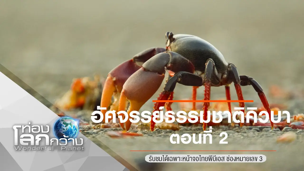 อัศจรรย์ธรรมชาติคิวบา ตอนที่ 2