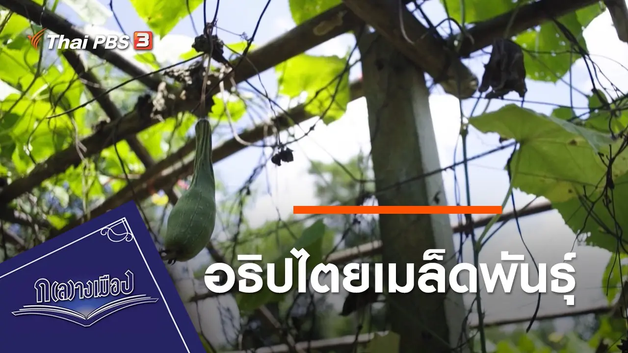 อธิปไตยเมล็ดพันธุ์