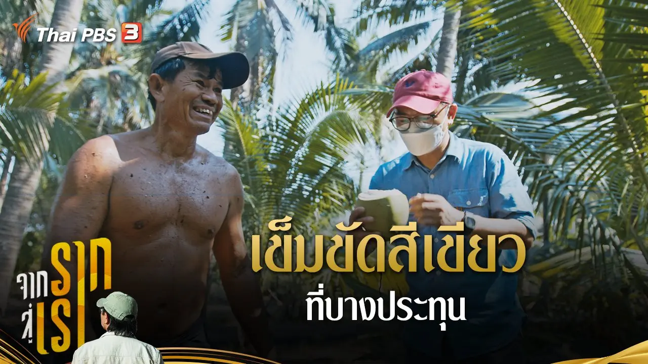 เข็มขัดสีเขียวที่บางประทุน