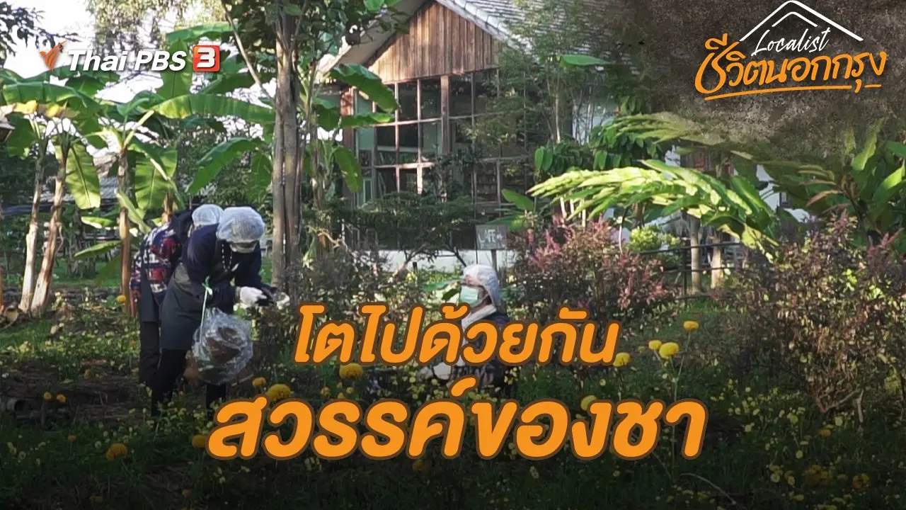โตไปด้วยกันสวรรค์ของชา