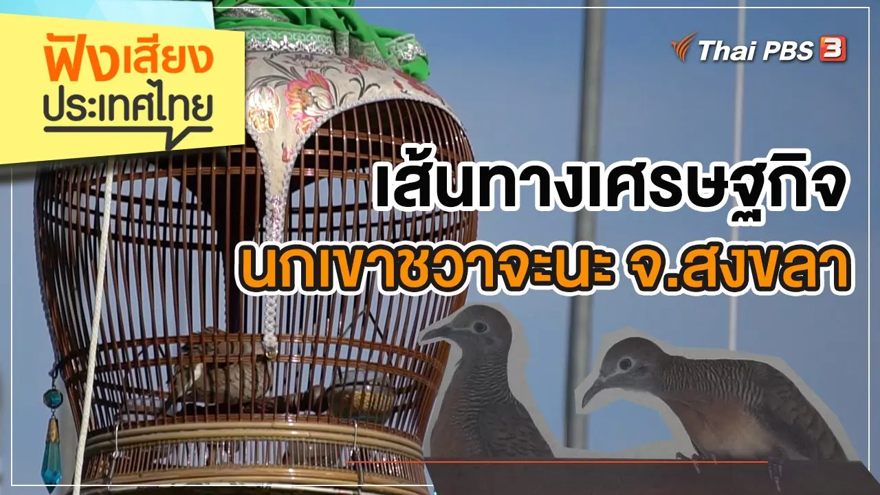 เส้นทางเศรษฐกิจนกเขาชวาจะนะ จ.สงขลา