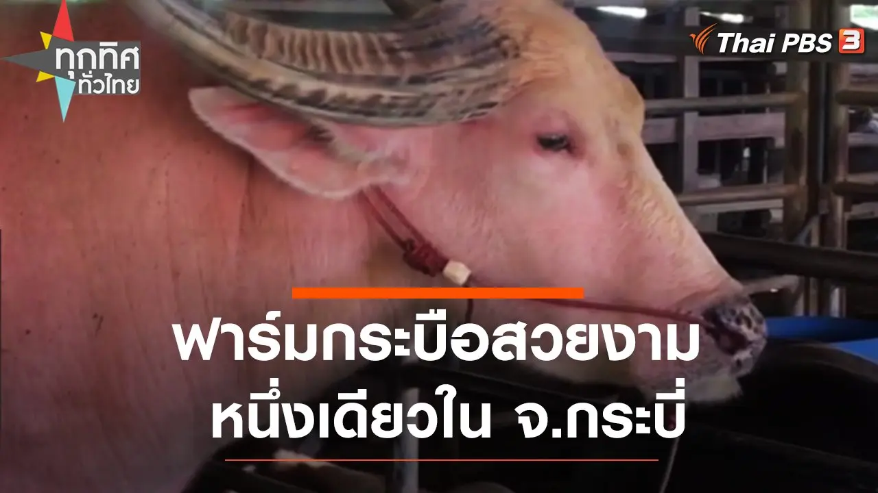 เกษตรกรผลิตปุ๋ยอินทรีย์ใช้เอง จ.ตรัง