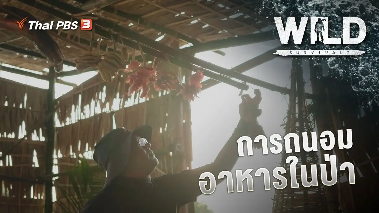 การถนอมอาหารในป่า