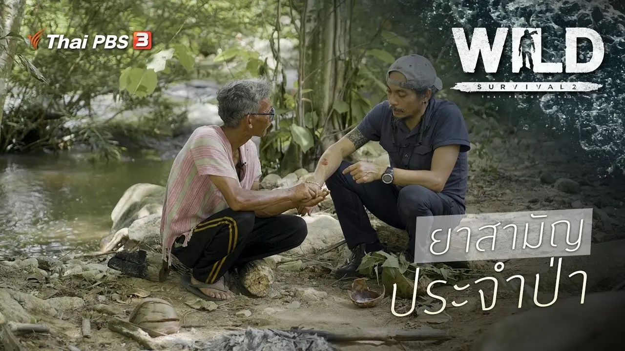 ยาสามัญประจำป่า