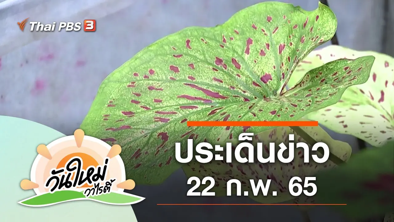 วันใหม่วาไรตี้