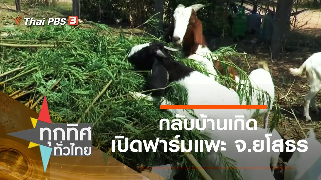 ทุกทิศทั่วไทย