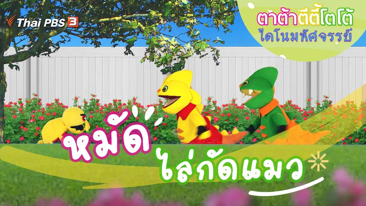 หมัดไล่กัดแมว