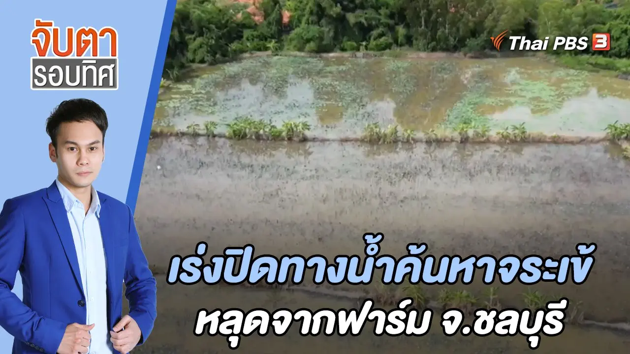 เร่งปิดทางน้ำค้นหาจระเข้หลุดจากฟาร์ม จ.ชลบุรี | จับตารอบทิศ | 7 ก.ค. 65