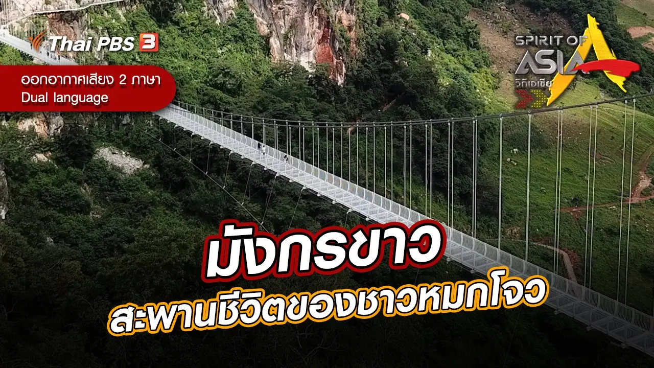 มังกรขาว สะพานชีวิตของชาวหมกโจว