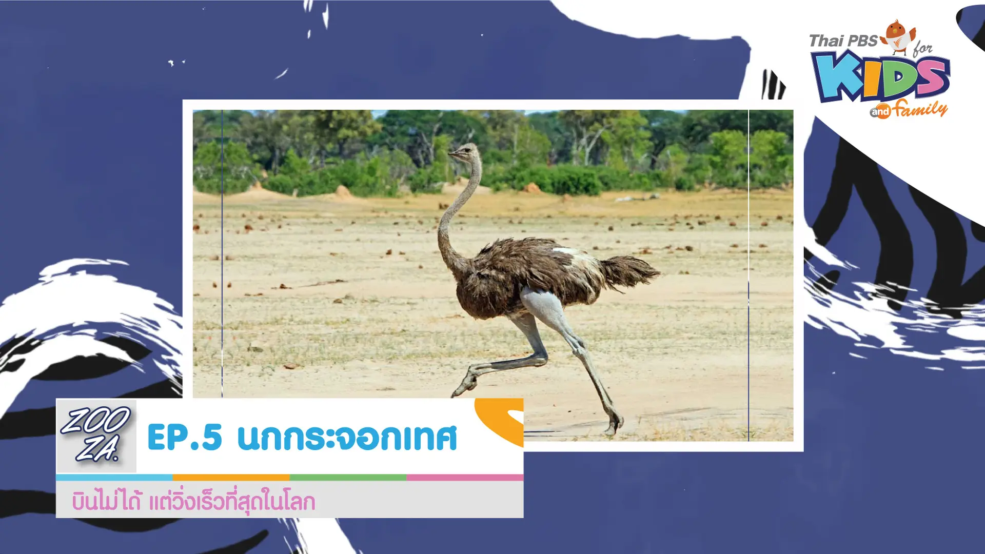 นกกระจอกเทศ
