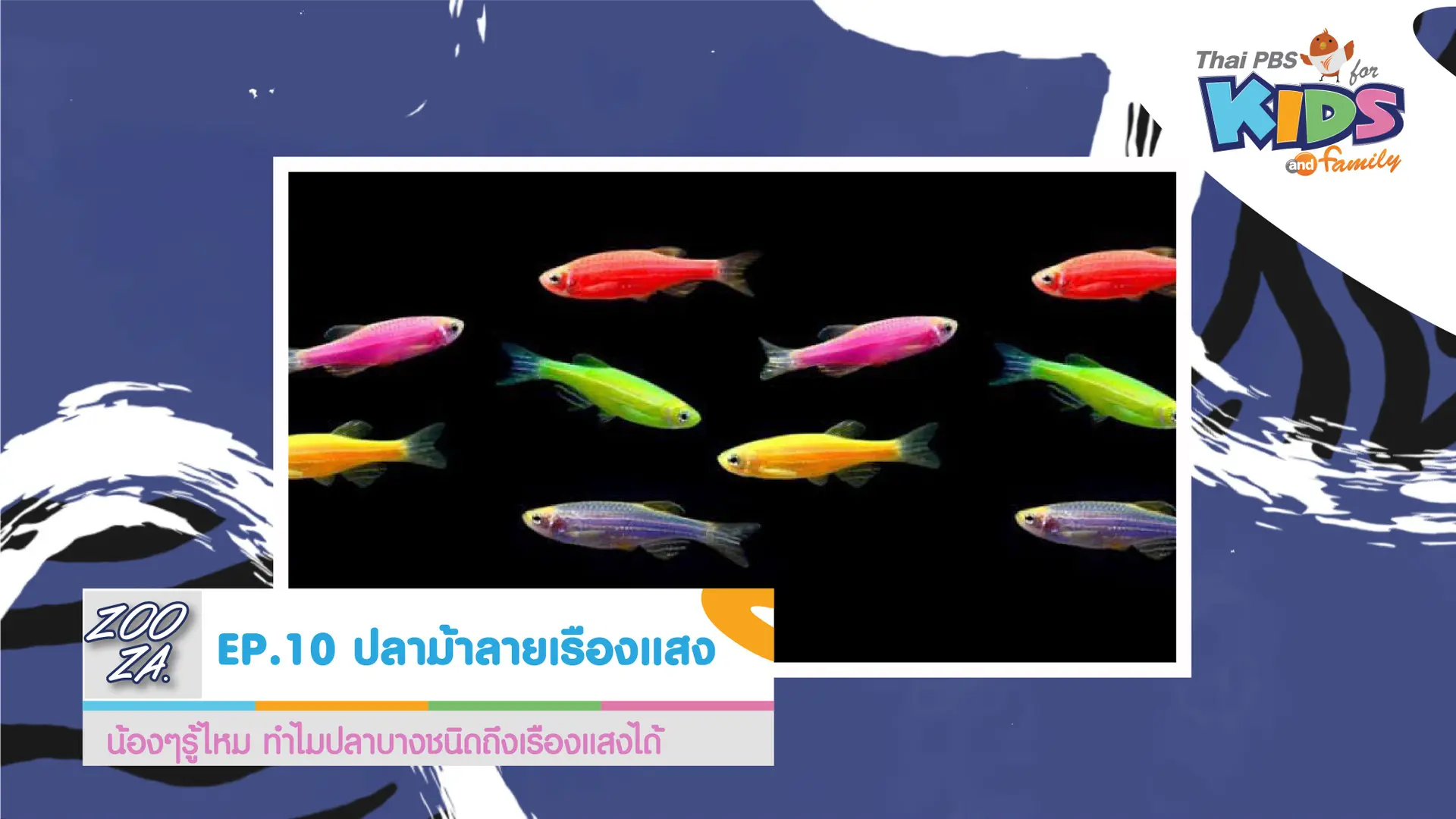 ปลาม้าลายเรืองแสง