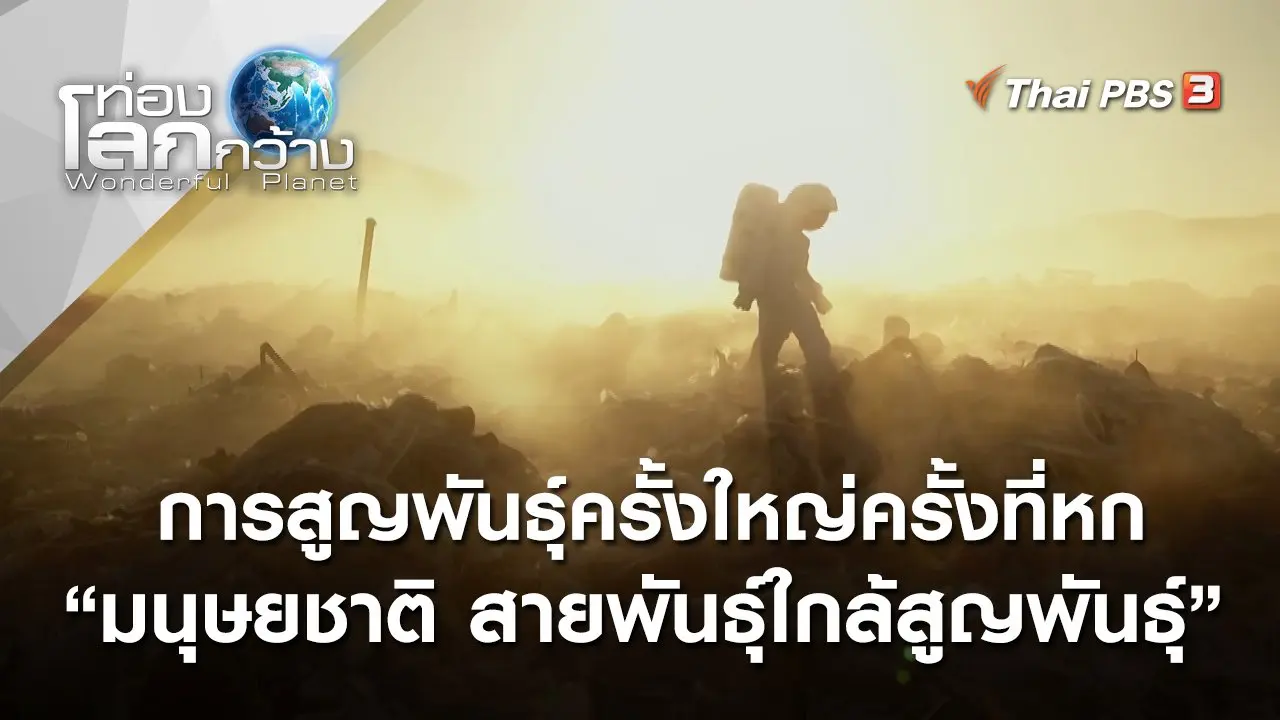 มนุษยชาติ สายพันธุ์ใกล้สูญพันธุ์ : การสูญพันธุ์ครั้งใหญ่ครั้งที่หก