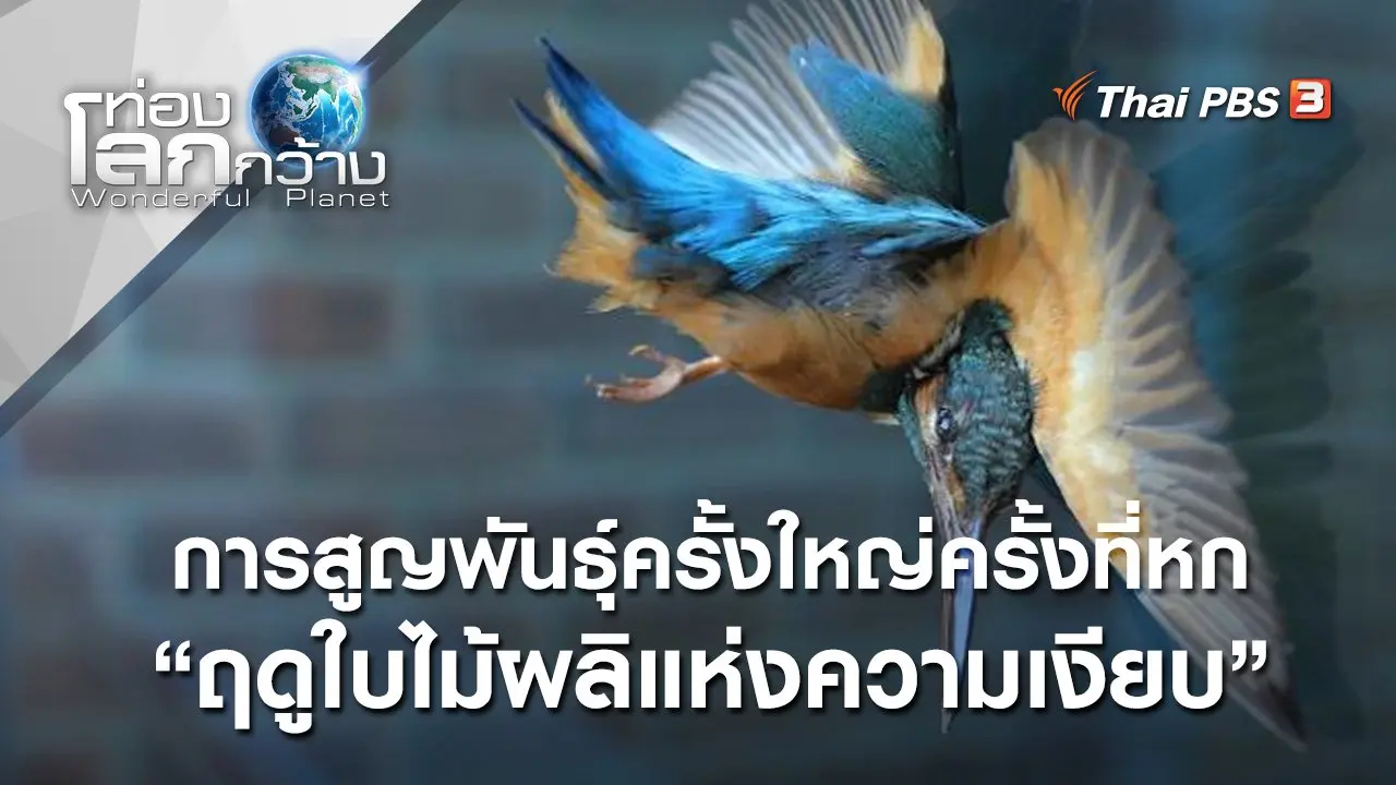 ฤดูใบไม้ผลิแห่งความเงียบ : การสูญพันธุ์ครั้งใหญ่ครั้งที่หก