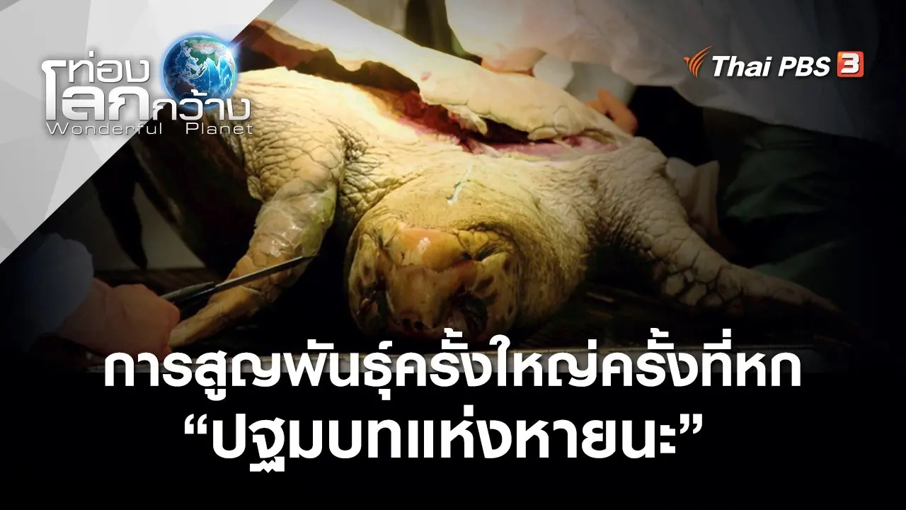 ปฐมบทแห่งหายนะ : การสูญพันธุ์ครั้งใหญ่ครั้งที่หก