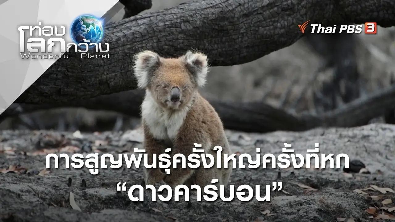 ดาวคาร์บอน : การสูญพันธุ์ครั้งใหญ่ครั้งที่หก