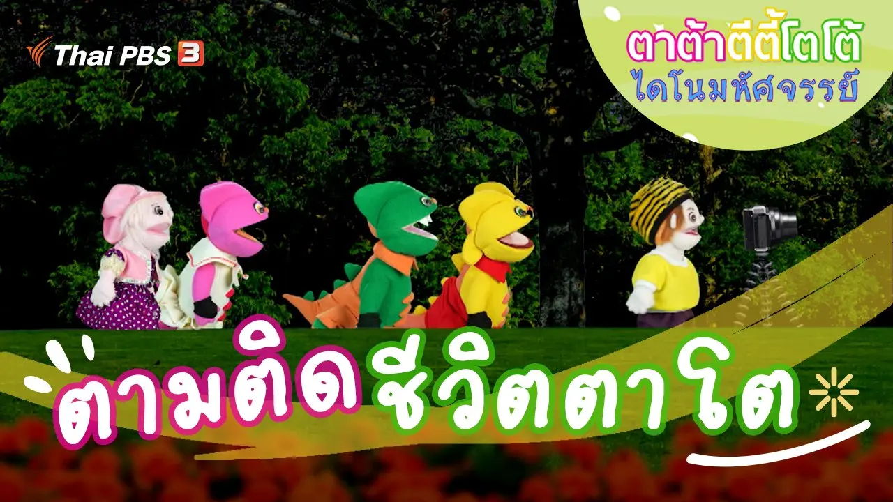 ตามติดชีวิตตาโต