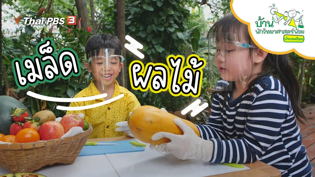 เมล็ดผลไม้