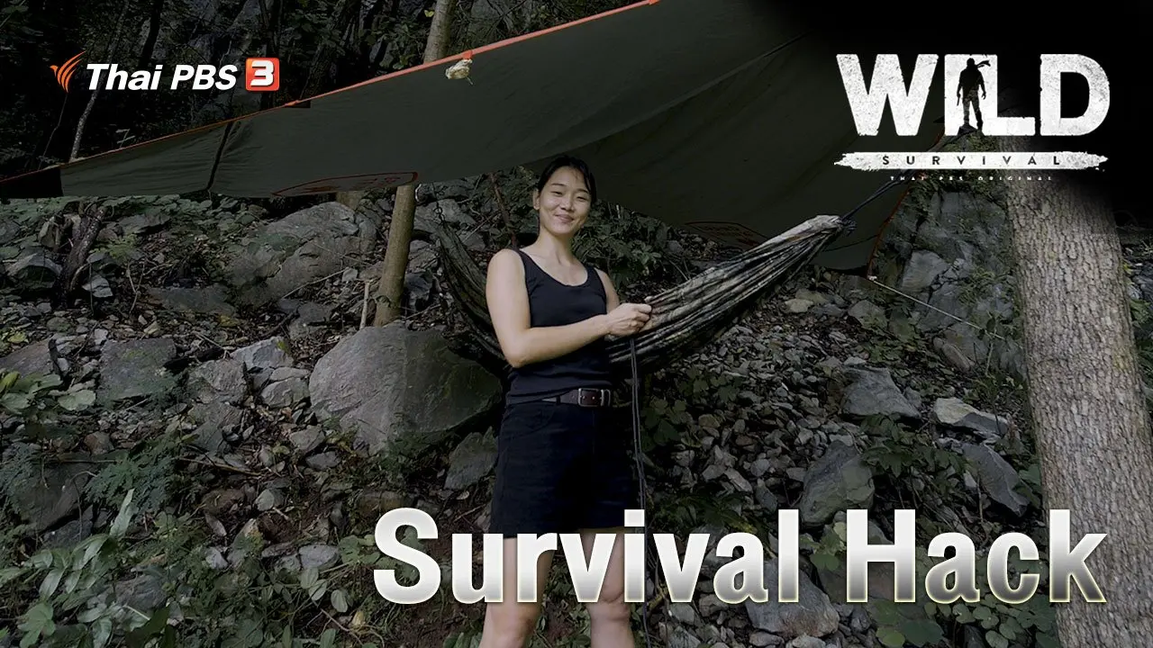 Survival Hack