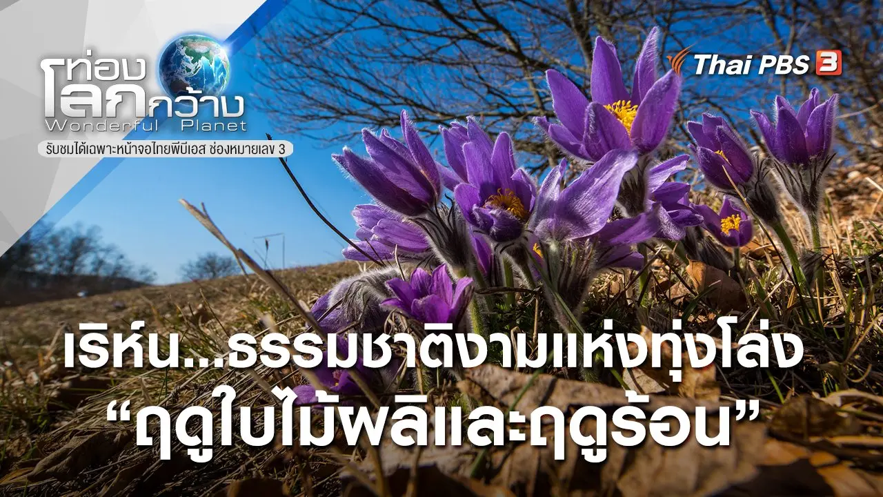 เริห์น...ธรรมชาติงามแห่งทุ่งโล่ง ตอน ฤดูใบไม้ผลิและฤดูร้อน