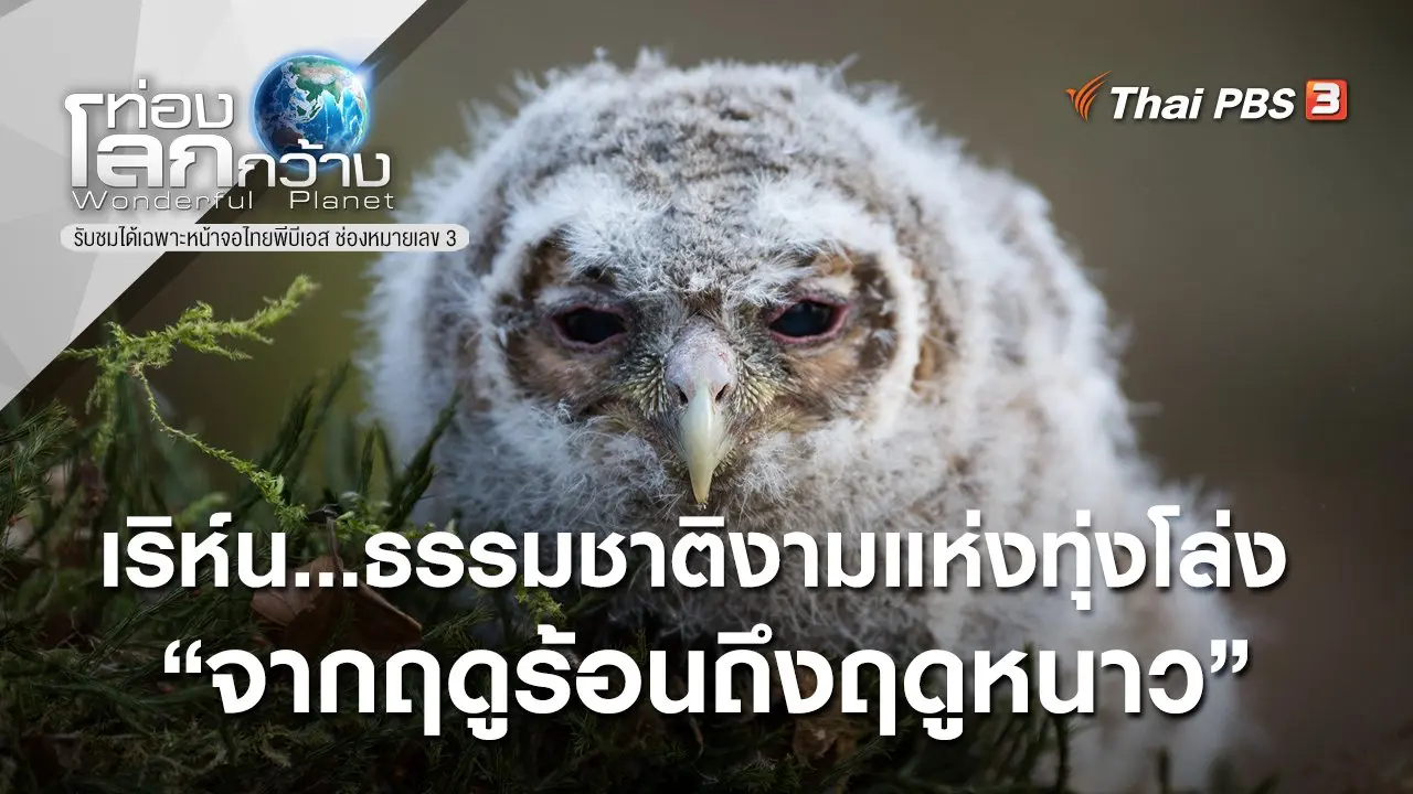 เริห์น...ธรรมชาติงามแห่งทุ่งโล่ง ตอน จากฤดูร้อนถึงฤดูหนาว