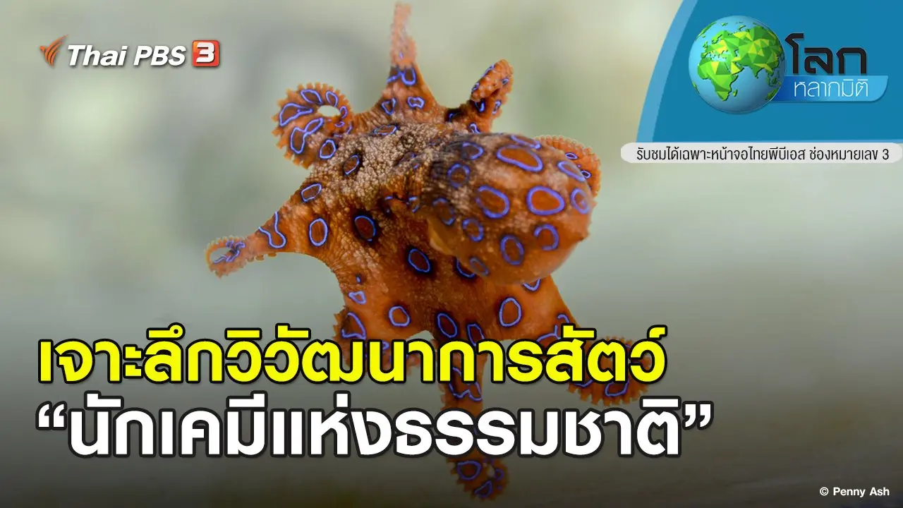 เจาะลึกวิวัฒนาการสัตว์ ตอน นักเคมีแห่งธรรมชาติ
