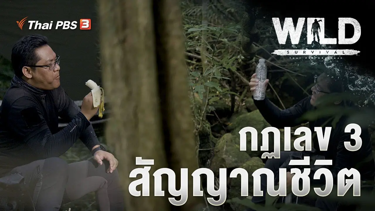กฏเลข 3 สัญญาณชีวิต