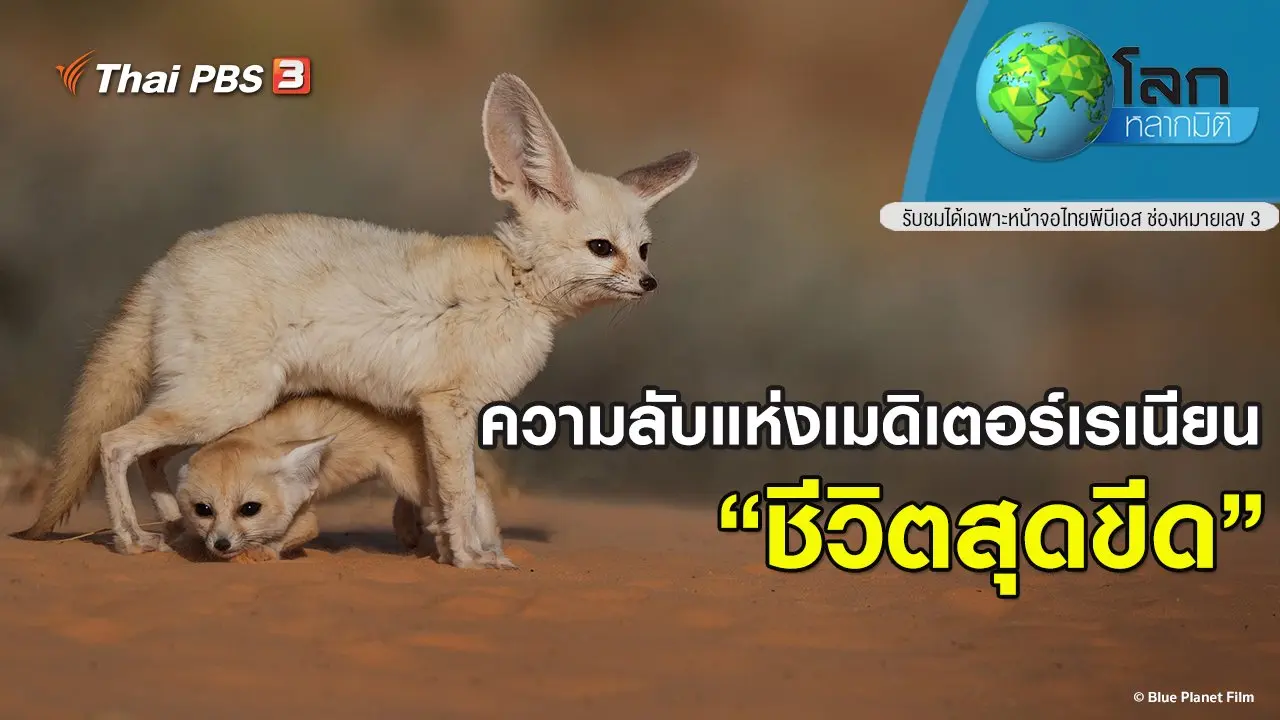 ความลับแห่งเมดิเตอร์เรเนียน ตอน ชีวิตสุดขีด