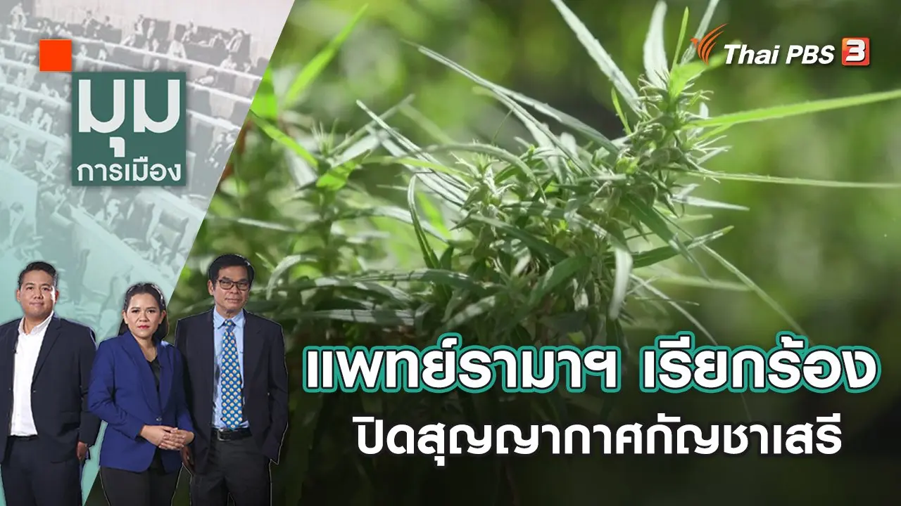 มุมการเมือง