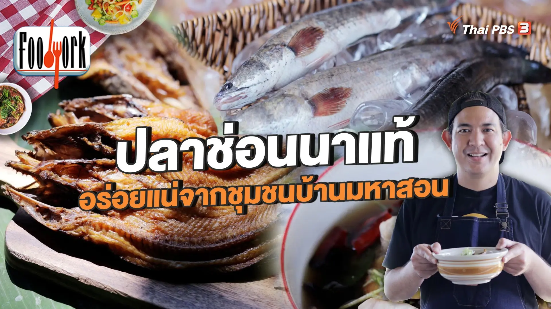ปลาช่อนนาแท้ อร่อยแน่จากชุมชนบ้านมหาสอน