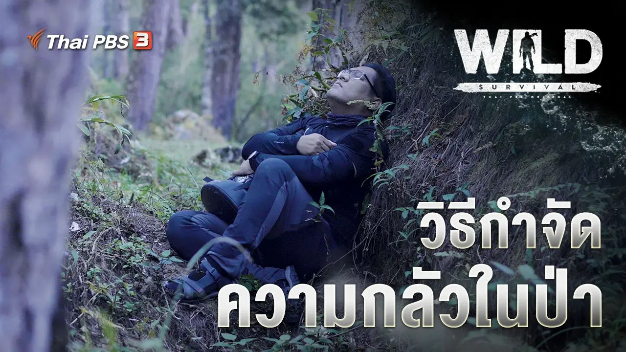 วิธีกำจัดความกลัวในป่า