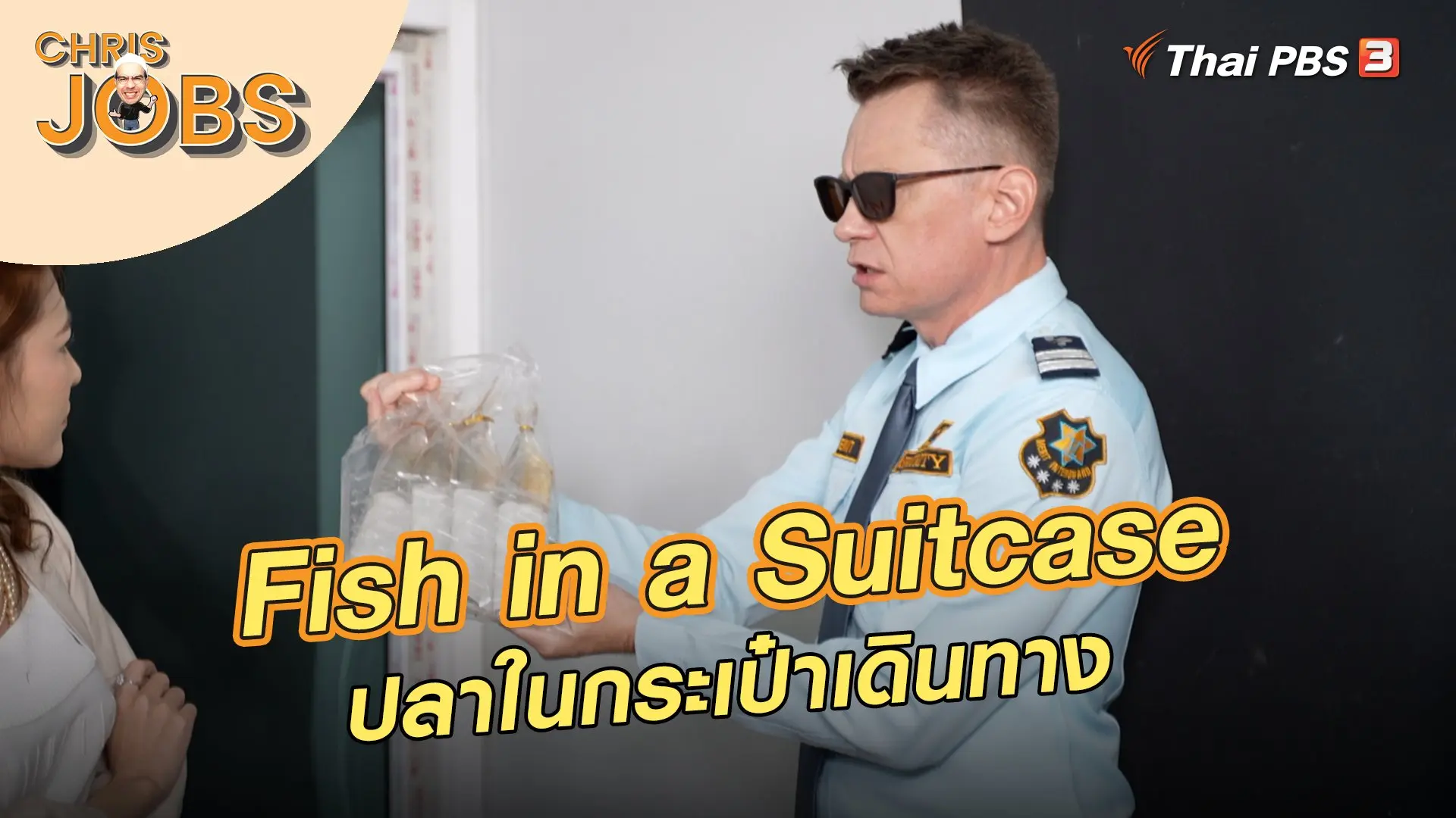 Fish in a Suitcase