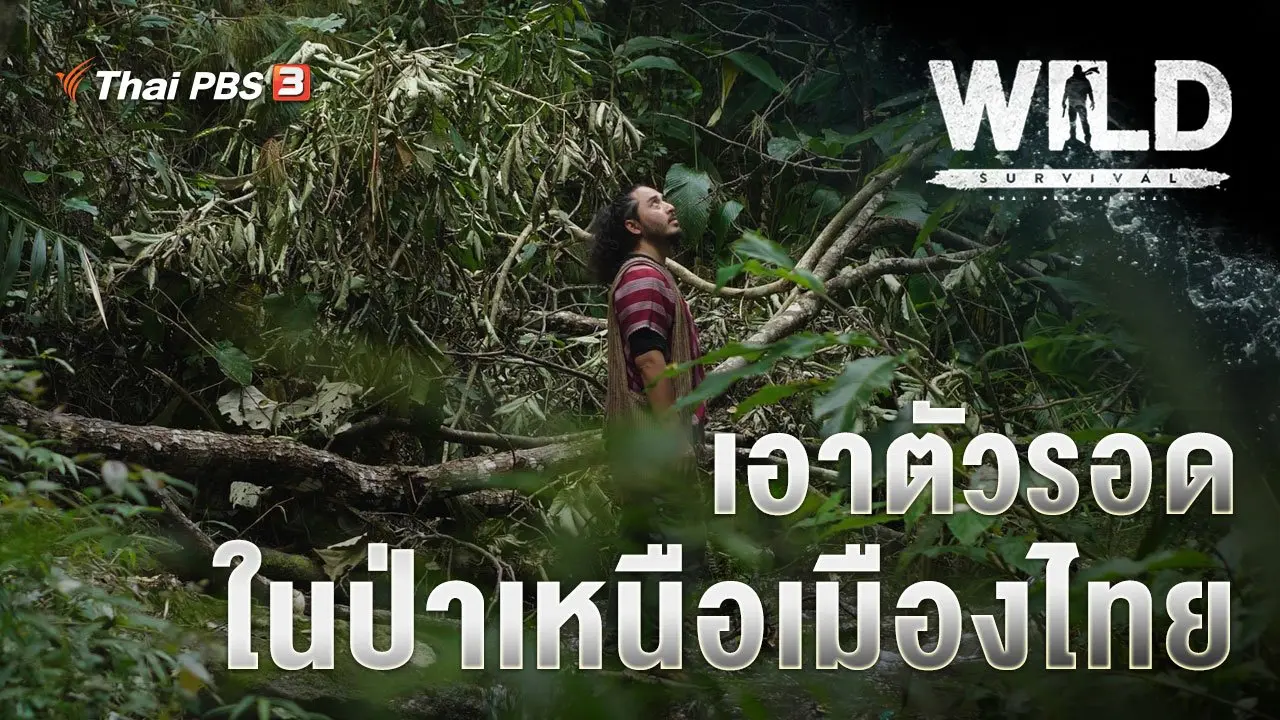 เอาตัวรอดในป่าเหนือเมืองไทย