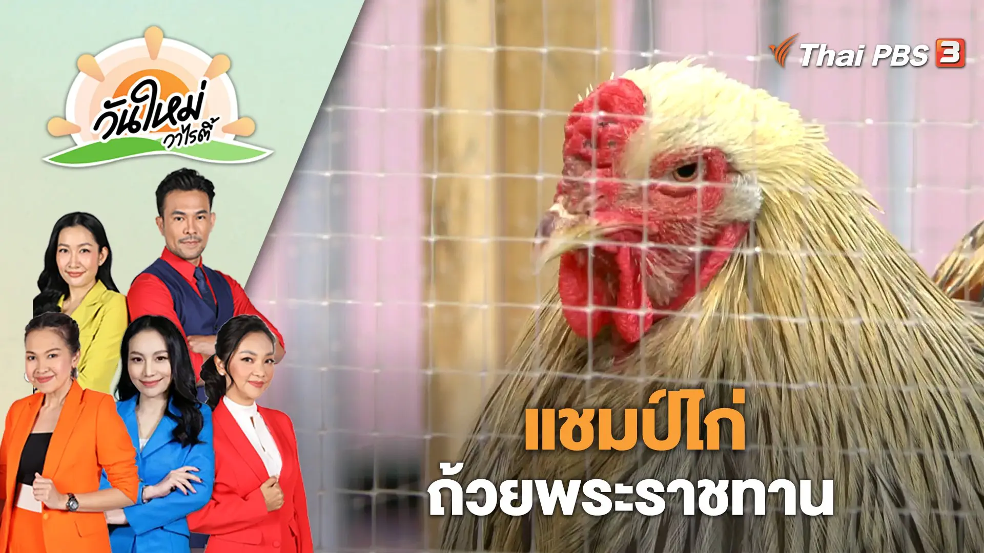 แชมป์ไก่ ถ้วยพระราชทาน | วันใหม่วาไรตี้ | 13 มี.ค. 66