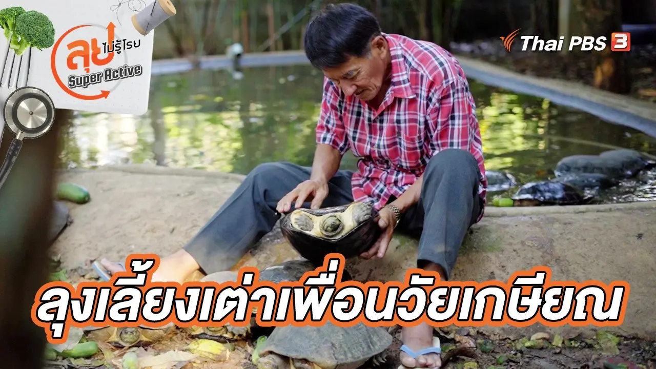 ลุงเลี้ยงเต่าเพื่อนวัยเกษียณ
