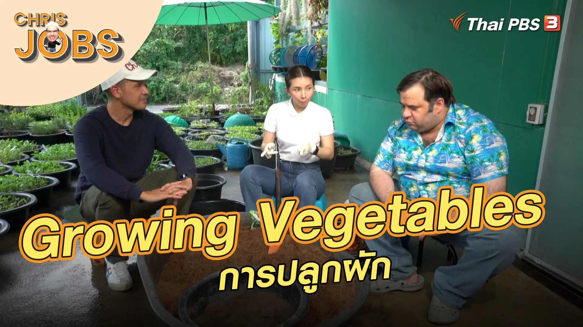 Growing Vegetables