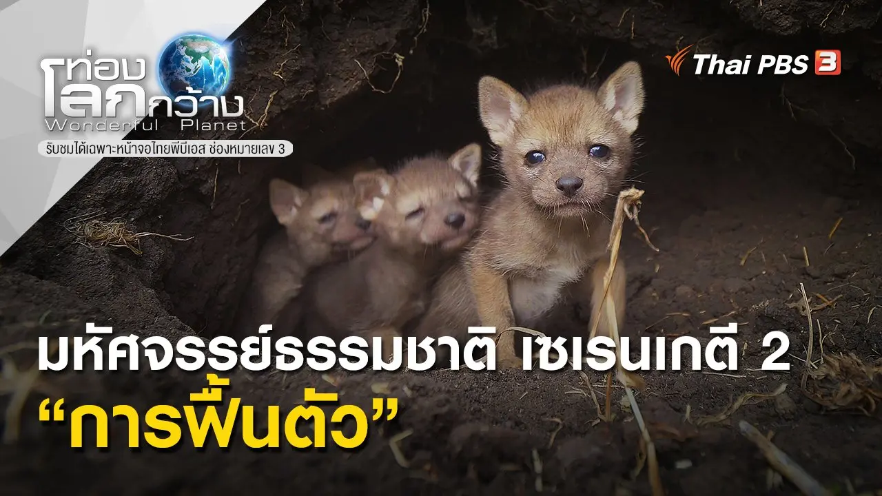 มหัศจรรย์ธรรมชาติ เซเรนเกตี 2 ตอน การฟื้นตัว
