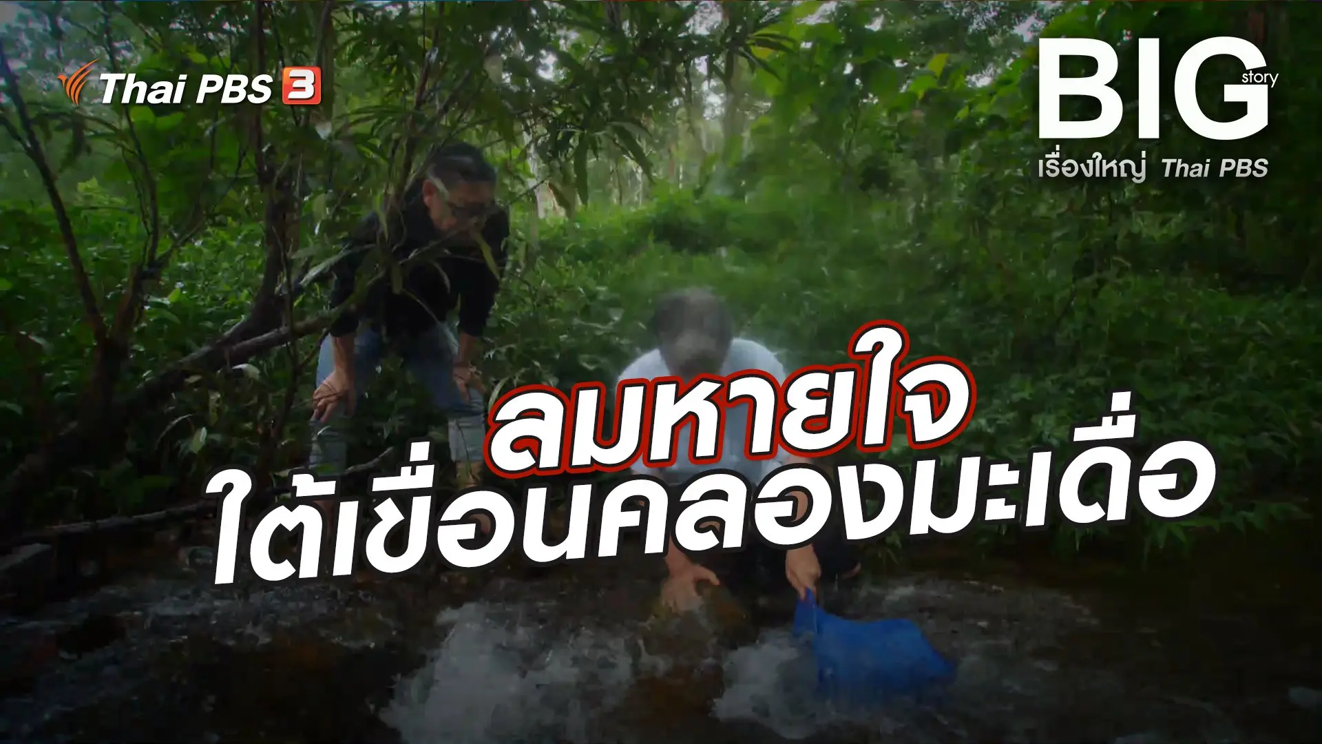 ลมหายใจใต้เขื่อนคลองมะเดื่อ